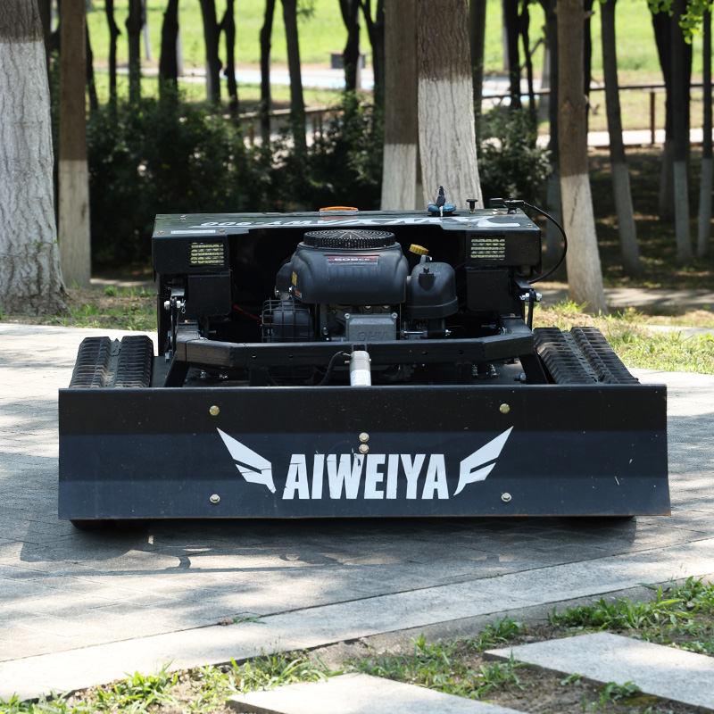 Customized High Power Remote L - огляд і ціна Snow Blower Single