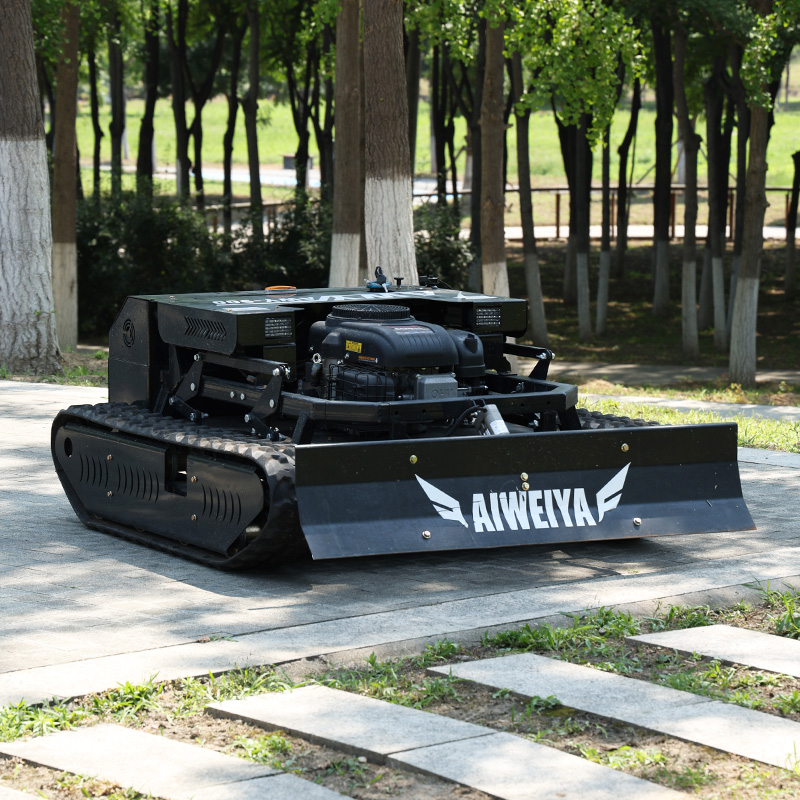 Customized High Power Remote L - огляд і ціна Snow Blower Single