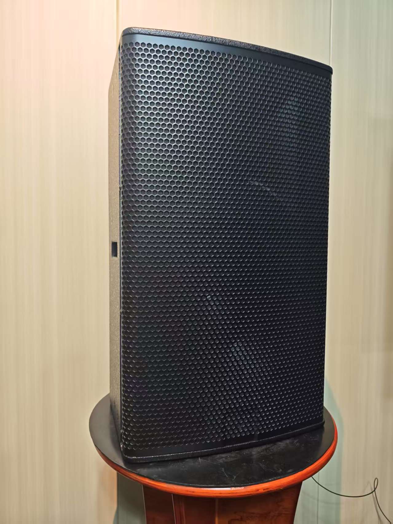 12-Inch Wooden Active Speaker  - огляд і ціна Outdoor Power Direct